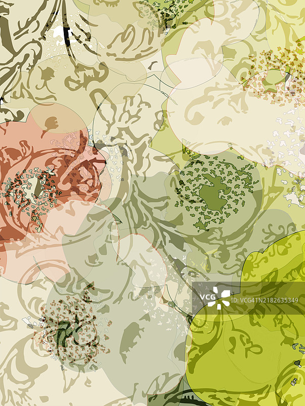 花卉背景，孤立的花朵图片素材