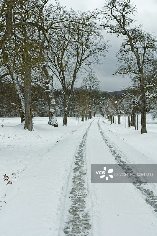 雪地景观，路面上有轮胎印和脚印，旁边是林荫树。冬季的天空灰蒙蒙的，预示着即将到来的降雪。图片素材
