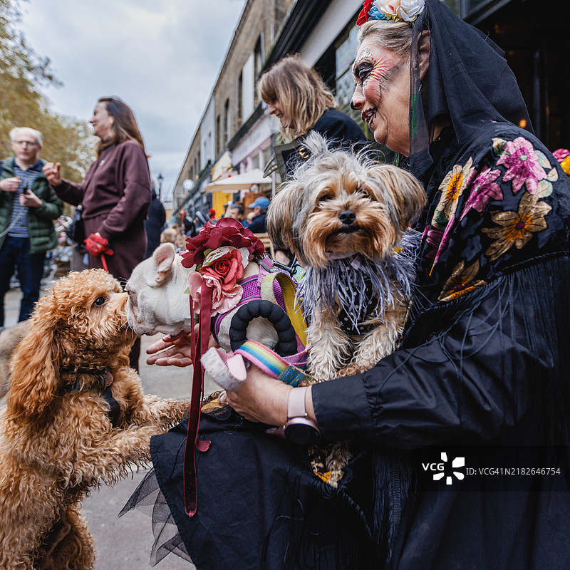 亡灵节图片素材