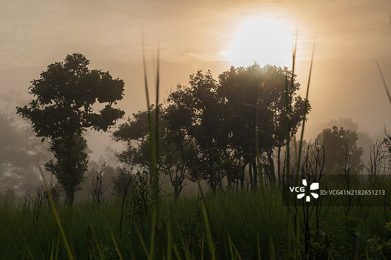 泰国匹集农和培智文省的通萨兰鲁昂国家公园晨间风景图片素材