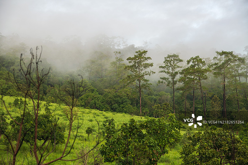 泰国匹集农和培吉邦省的通萨兰鲁昂国家公园晨间风景图片素材