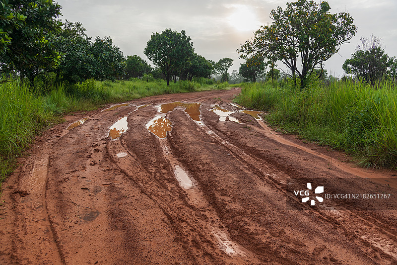 通往清澈森林的道路晨景，位于泰国披集和彭世洛的通萨兰鲁昂国家公园。图片素材