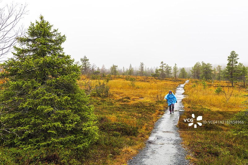 女性在山中湿滑的小径上徒步旅行图片素材