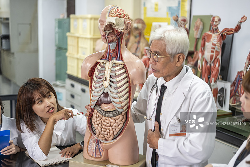 一位经验丰富的年长亚洲男性教授在解剖教室中使用人体和器官模型教授人体解剖学，向年轻的护理和医学学生分享他的专业知识和经验。图片素材