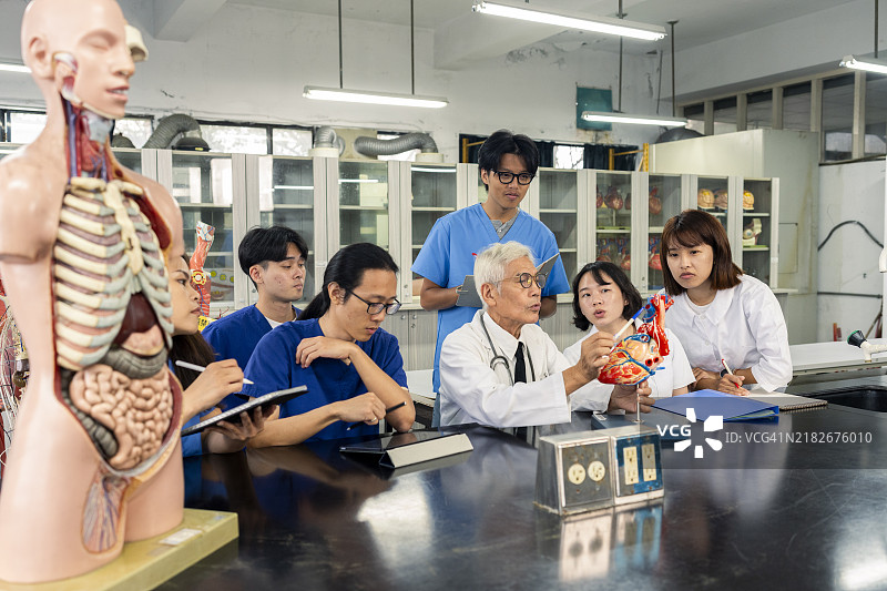 一位经验丰富的年长亚洲男性教授正在解剖教室里使用人体和器官模型教授人体解剖学，向年轻的护理和医学学生分享他的专业知识和经验。图片素材