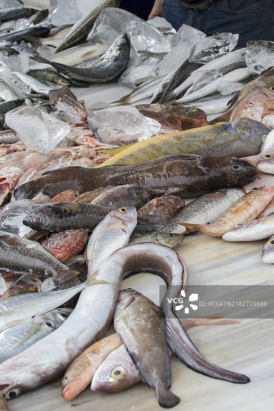 街市上出售新鲜鱼类图片素材