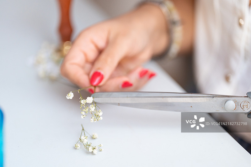 女人正在用剪刀修剪小白花的茎。图片素材
