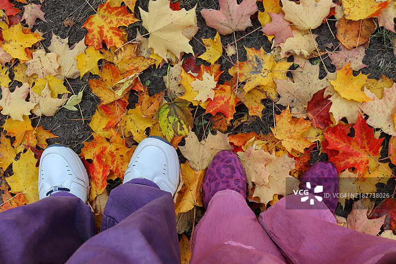 走进秋天图片素材