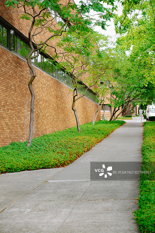 城市中的社区绿道。图片素材