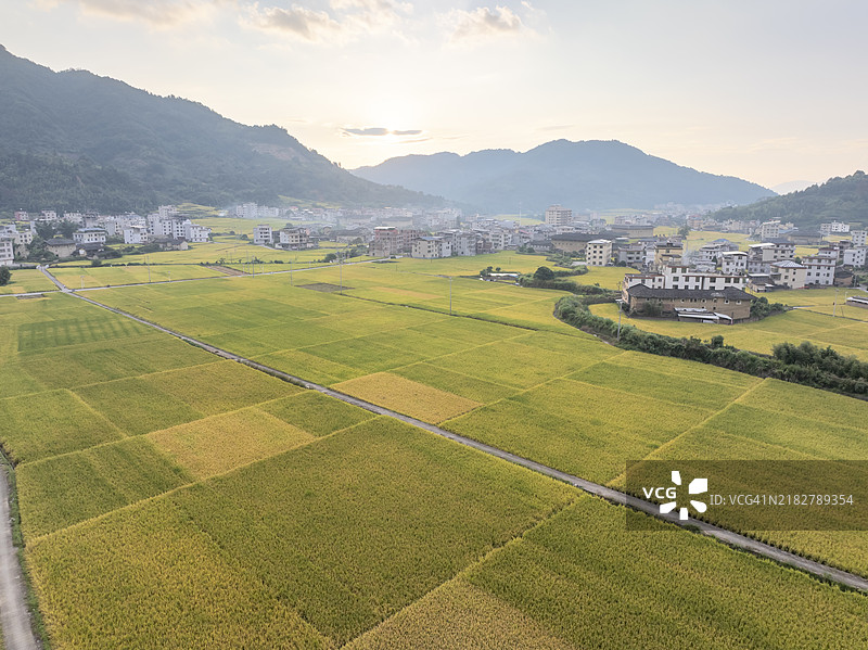 秋季乡村稻田的航拍摄影图片素材