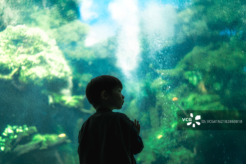 男孩在水族馆图片素材