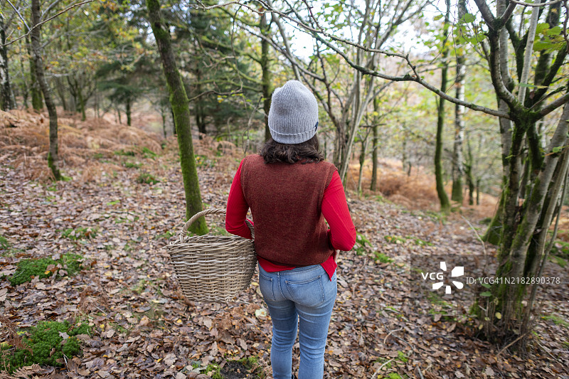寻找蘑菇图片素材