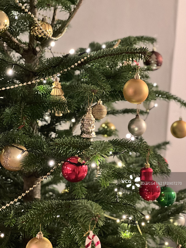 丹麦的圣诞树特写图片素材