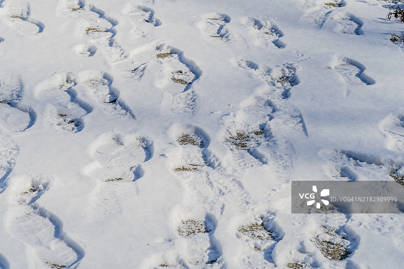 多组脚印在雪地上交错，形成有趣的纹理图案，位于韩国图片素材