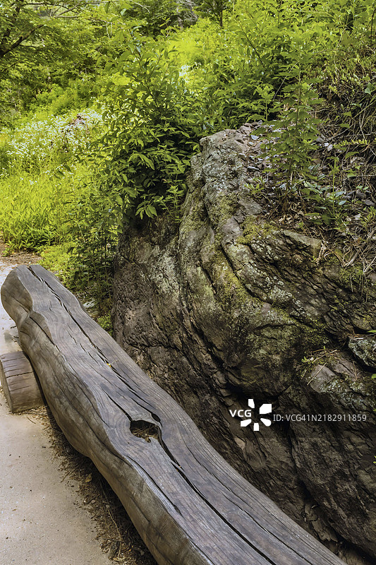 韩国休闲森林徒步小径旁，阴凉树下的长木头制成的公园长椅，旁边有一块大岩石。图片素材