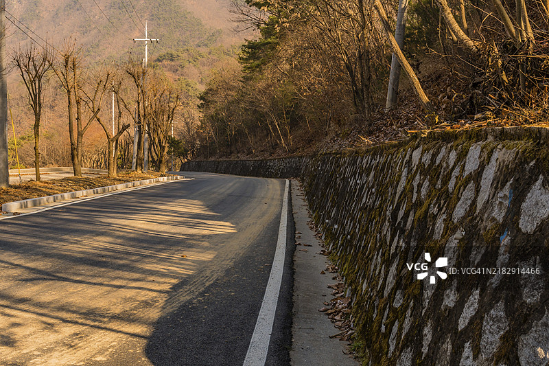 韩国一条单车道铺砌的树木成行的道路旁的石头人造墙图片素材