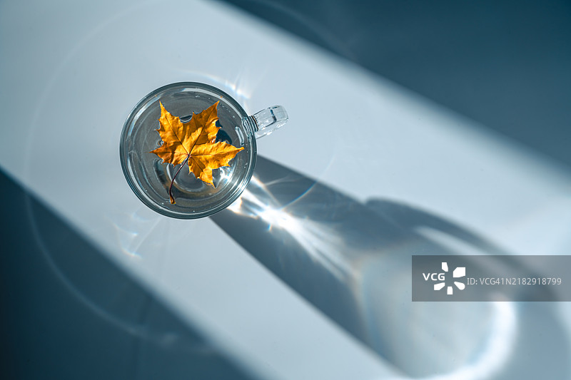 秋季概念静物，黄色枫叶漂浮在水杯中，阳光的眩光图片素材