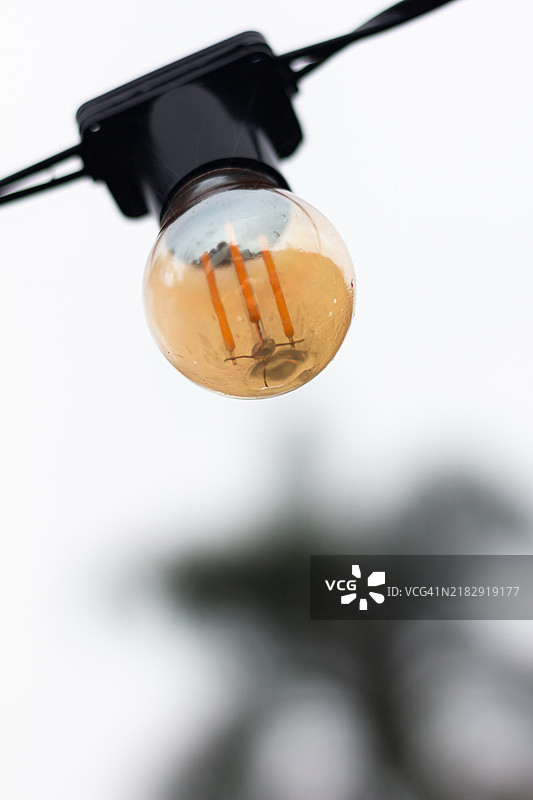 灯泡特写，加里巴尔迪，巴西南大河州图片素材