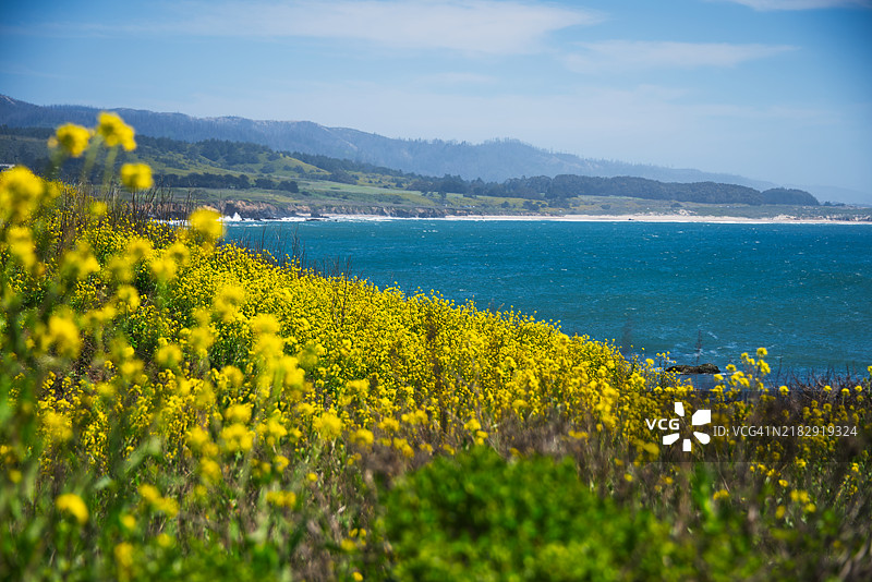 加利福尼亚州佩斯卡德罗的海洋与天空的美丽景色图片素材
