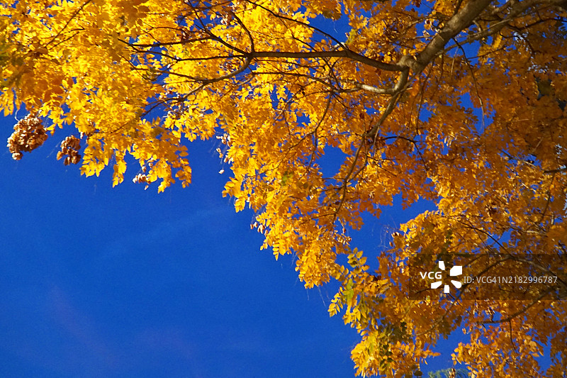 罗马尼亚的秋天图片素材