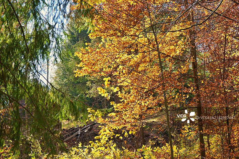 罗马尼亚的秋天图片素材