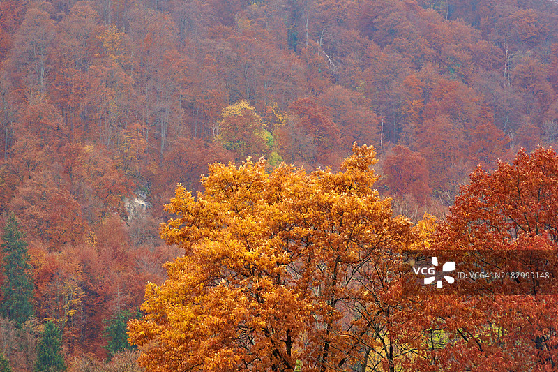 罗马尼亚的秋天图片素材