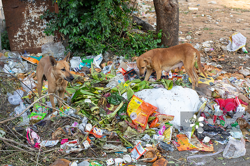 印度文化图像，帕拉尼，泰米尔纳德邦图片素材