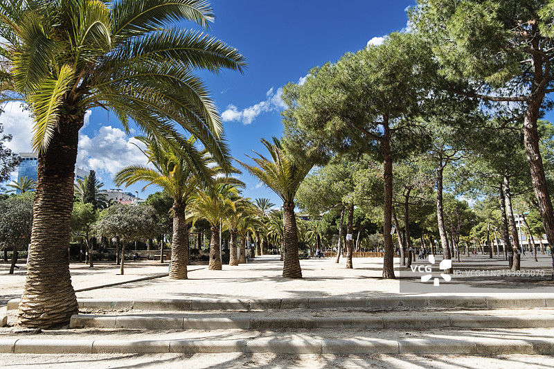 巴塞罗那的米罗公园，欧洲，棕榈树环绕图片素材