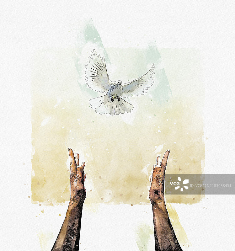 和平概念画，描绘人类双手伸向飞翔的白鸽。停止战争，和谐与安宁的概念。图片素材