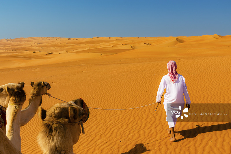 一位贝都因人在阿曼最大的沙漠——瓦希巴沙丘（Wahiba Sands）或拉姆拉特·阿尔·瓦希巴（Ramlat al-Wahiba）或沙尔基亚沙丘（Sharqiya Sands）中牵引他的骆驼（单峰骆驼）。图片素材
