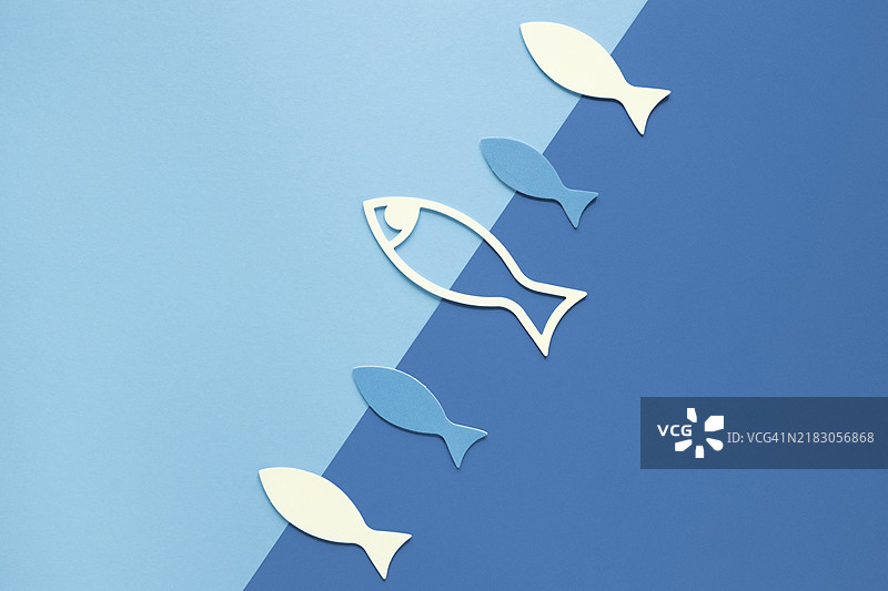 平铺的纸鱼图片素材