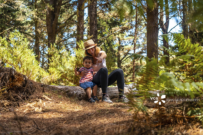 母亲与儿子坐在树上，身旁是松树，享受大自然的宁静。图片素材