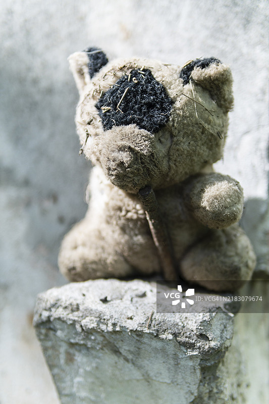 被遗弃的破旧泰迪熊在街上图片素材