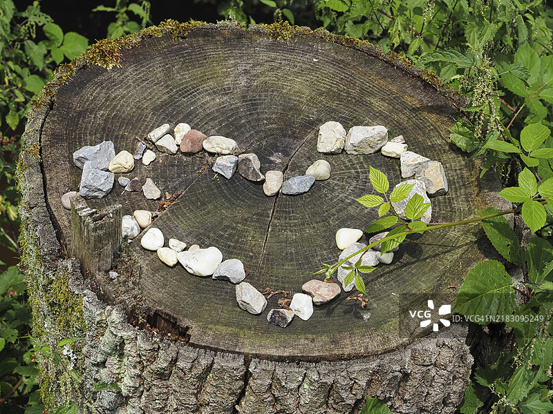 树干上的卵石心形装饰，德国北莱茵-威斯特法伦，欧洲图片素材