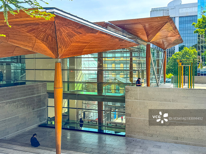 奥克兰艺术画廊外的阿尔伯特公园人群图片素材