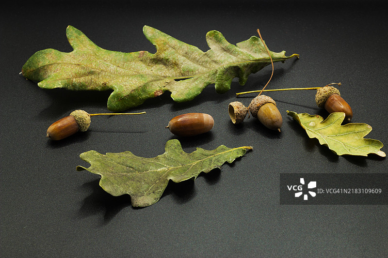 高角度视图的干枯叶子放在桌子上图片素材