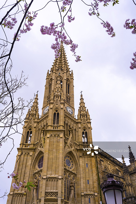 春天，圣塞巴斯蒂安市中心的布恩帕斯托尔教堂旁的树上盛开着粉色花朵，位于吉普斯夸，西班牙。图片素材