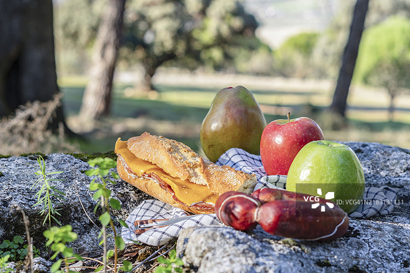 乡村野餐，培根奶酪三明治配香肠和水果，放在大石头上，背景是森林。图片素材
