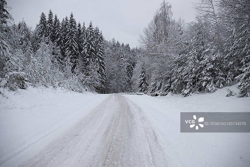 美丽的雪覆盖的冬季风景。一条穿过雪覆盖的松树和云杉森林的道路。瑞典寒冷的冬季景观。图片素材