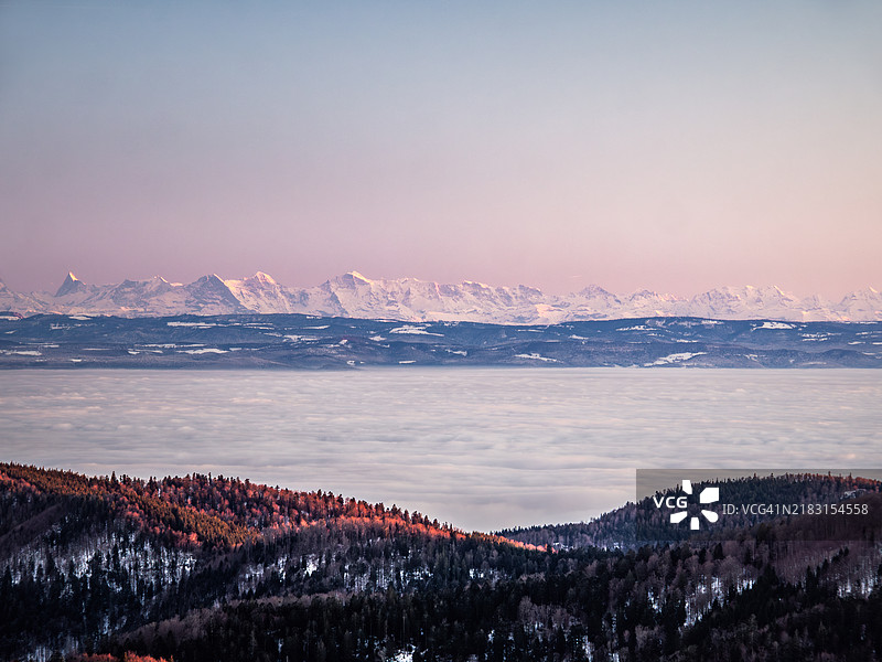 冬季黄昏时分,从阿尔萨斯山顶俯瞰伯尔尼阿尔卑斯山、瑞士阿尔卑斯山、艾格峰、梦峰和少女峰,山间云雾缭绕,远处是沃日山脉,阿尔萨斯 - 法国。图片素材