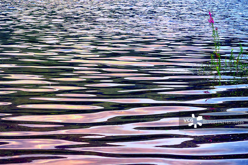 秋本湖夏季风光图片素材