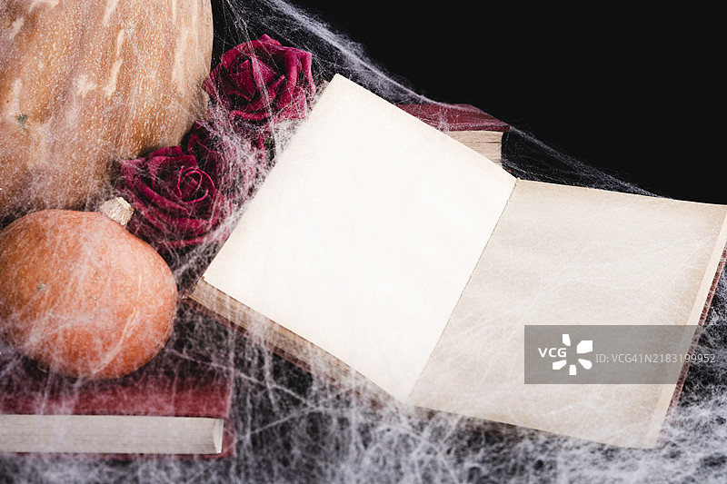 书籍模型与蜘蛛网南瓜图片素材