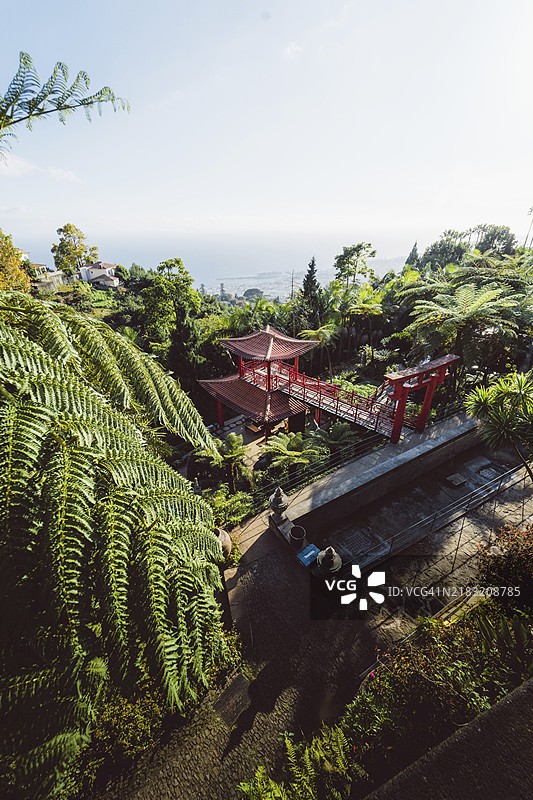 热带森林中间的红色桥梁，远处可见海洋。葡萄牙，马德拉，欧洲图片素材