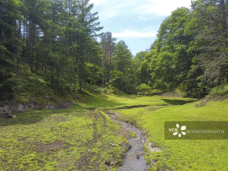 从河流到湖泊的到达，周围有松树和一些美丽的小海滩。夏季的水库航拍视图。图片素材