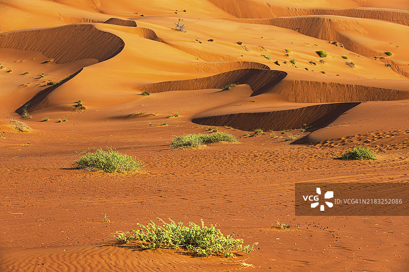 阿曼苏丹国杜法尔省鲁卜哈利沙漠中风雕刻的弯曲沙丘图片素材