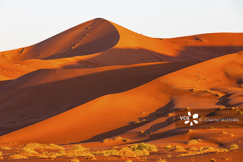 在阿曼苏丹国的阿拉伯半岛，杜法尔省的鲁卜哈利沙漠中，傍晚的光线下，风雕刻的弯曲沙丘。图片素材