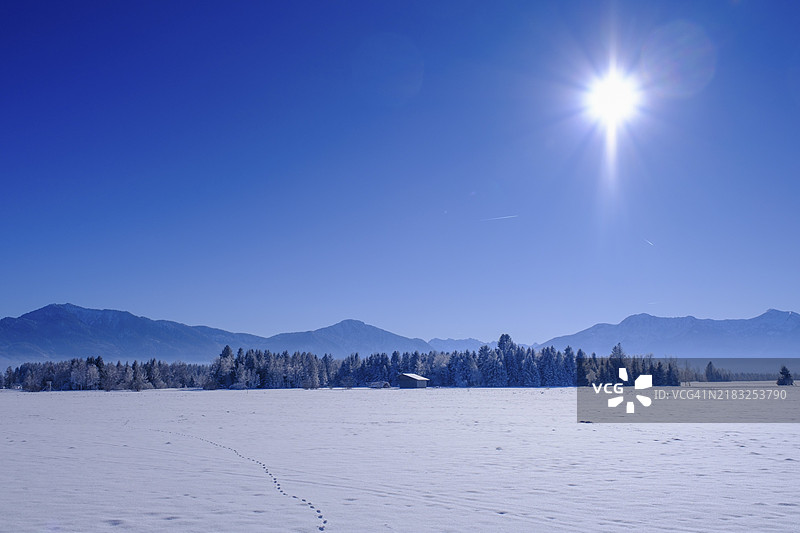 德国巴伐利亚州,上巴伐利亚,托尔策地区,贝内迪克图尔沼泽附近的冬季景色图片素材