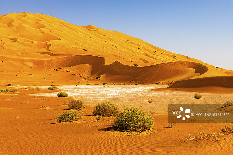 风雕刻的弯曲沙丘与绿色植被，位于阿拉伯半岛阿曼苏丹国的鲁卜阿尔哈利沙漠，达霍法省图片素材