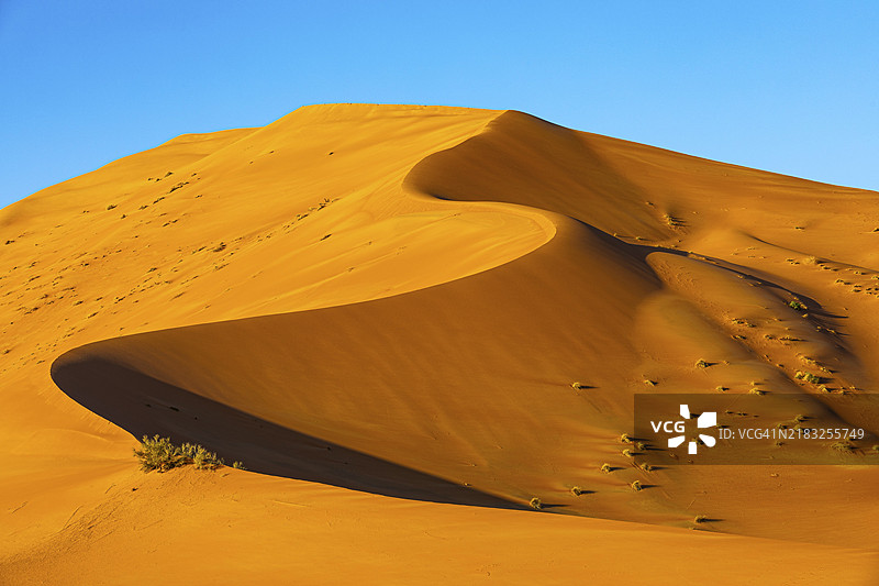 风雕刻的弯曲沙丘与绿色植被，位于阿拉伯半岛阿曼苏丹国的鲁卜哈利沙漠，杜法尔省图片素材