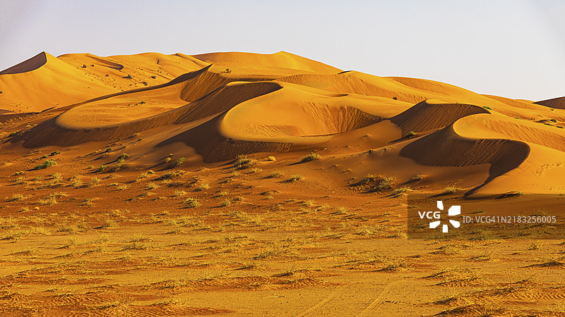 阿曼苏丹国，阿拉伯半岛，杜法尔省，鲁卜阿尔哈利沙漠中风雕刻的弯曲沙丘图片素材